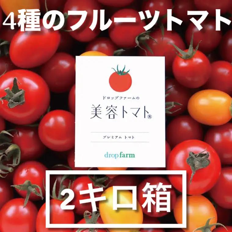【3月発送】ドロップファームの美容トマト おまかせ2kg箱(４種ミックス)（CK-102-3）