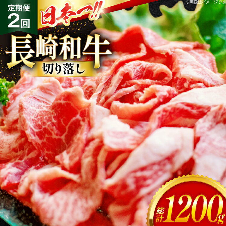 【ふるさと納税】牛肉 切り落とし 定期便 長崎和牛 切り落し600g 2回 総計1200g [大川ストアー 長崎県 東彼杵町 hs42bag580011] 肉 牛肉 和牛 焼肉