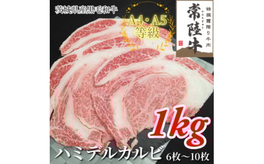 ＜常陸牛＞ハミデルカルビ 1kg(6～10枚)【1560468】