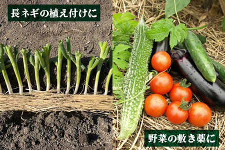 [先行予約] 稲わら・無農薬 2箱 [JAS有機認定又は転換中 日光ダイヤ舞の藁] 令和7年度｜2025年度 有機栽培稲わら 無農薬 オーガニック 国産 産地直送 わら納豆づくり しめ縄づくり 正月飾