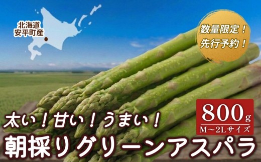 
                  【先行予約】グリーンアスパラガス 800g ハウス栽培 サイズ混合 出口農園 北海道安平町産【2027年春発送】
                