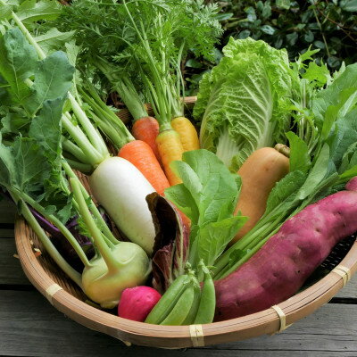 【ふるさと納税】【発送月固定定期便】【6～12月】但馬の旬をお届け!採れたて野菜セット全7回【配送不可地域：離島】【4075870】