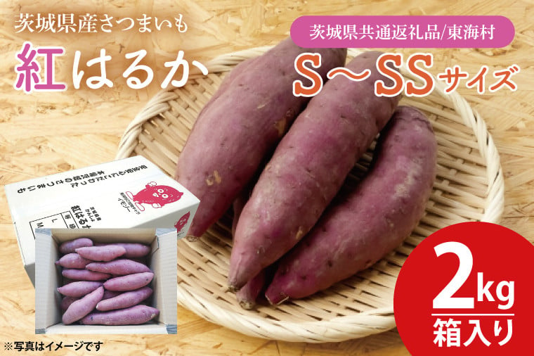 
【数量限定】紅はるかS～SSサイズ2kg箱【茨城県共通返礼品/東海村】【さつまいも 芋 いも 焼き芋 焼芋 やきいも 水戸市 茨城県 3000円以内】（KE-2）
