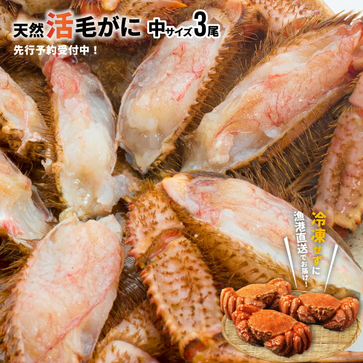 【ふるさと納税】【先行受付開始！】漁協の活毛がに 中サイズ3尾セット※日付指定対応不可※[02-176]※離島・沖縄県発送不可※ 北海道 浦河町 ふるさと納税 北海道産 北海道日高産 極寒 活毛がに 毛ガニ カニ 送料無料