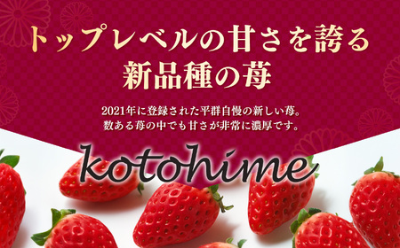 【食べ比べ】 平群の『古都華』＋希少『古都姫』（L～２Lサイズ）各1パック 計2パック 阪野農園 | 果物 くだもの フルーツ 苺 イチゴ いちご ストロベリー 古都華 ことか 古都姫 ことひめ 食べ