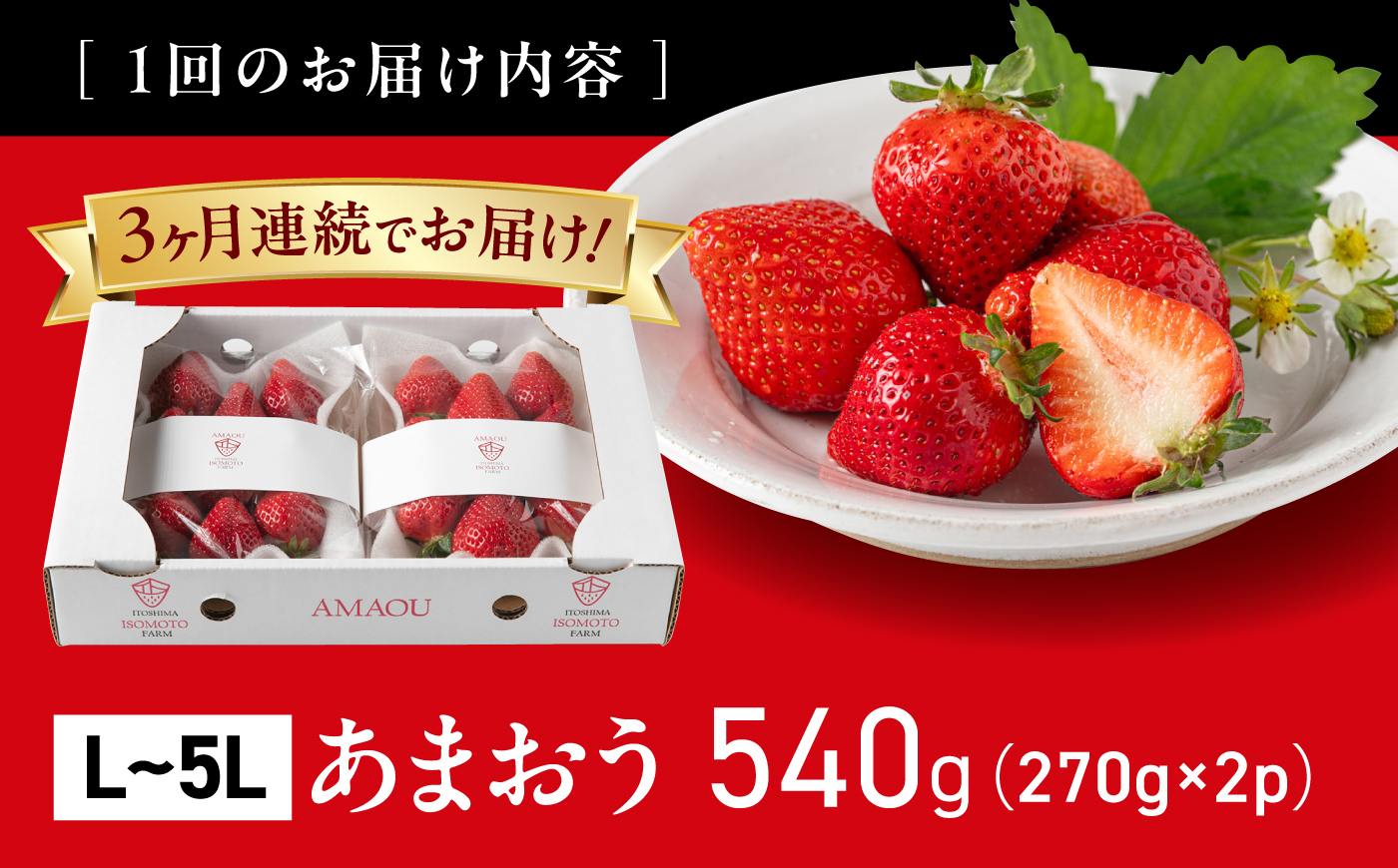 【月1回・全3回定期便】糸島 あまおう 270g×2パック【2027年1月～3月にて順次発送】 (A品B品含むL～5L) 糸島市 / 磯本農園 / TANNAL [ATB009] いちご 苺 イチゴ ランキング 上位 人気 おすすめ あまおう定期便