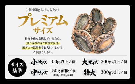 【先行予約】天然 黒あわび プレミアムサイズ 計2.2kg（4個以上）【2027年3月より順次発送予定】数量限定 活あわび [m17-p003_03]