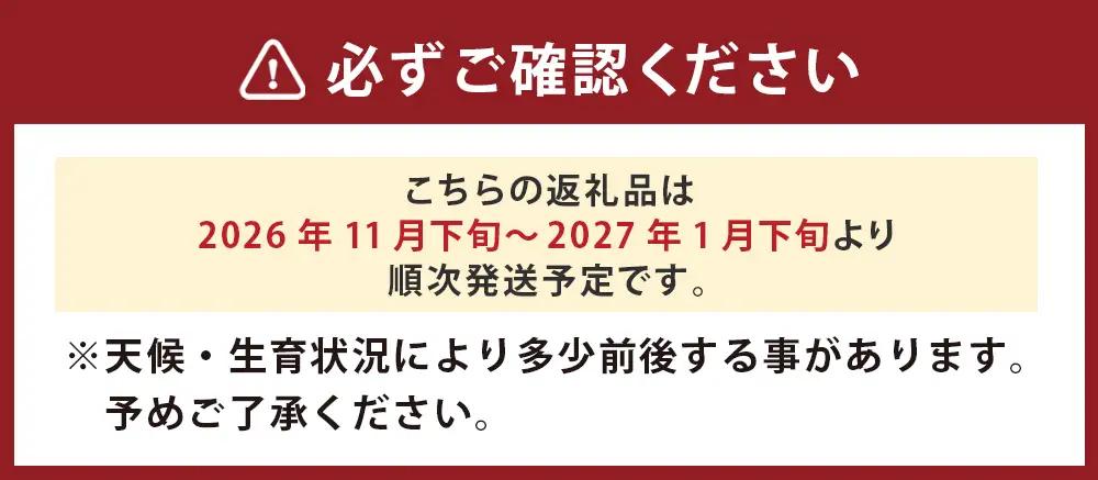 山本農園の大玉みかん 4.5kg 温州みかん 早生 温州 みかん ミカン 蜜柑 温州蜜柑 温州ミカン フルーツ くだもの 果物 ミネラル豊富 太良町 国産 贈答用 L14x1 【2026年11月下旬～