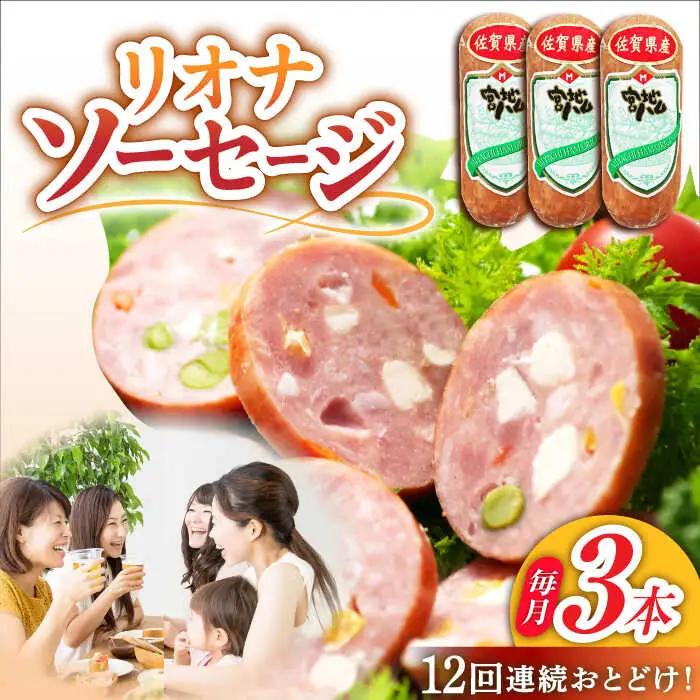 【12回定期便】 リオナソーセージ 200g×3本 ソーセージ [UBM032]