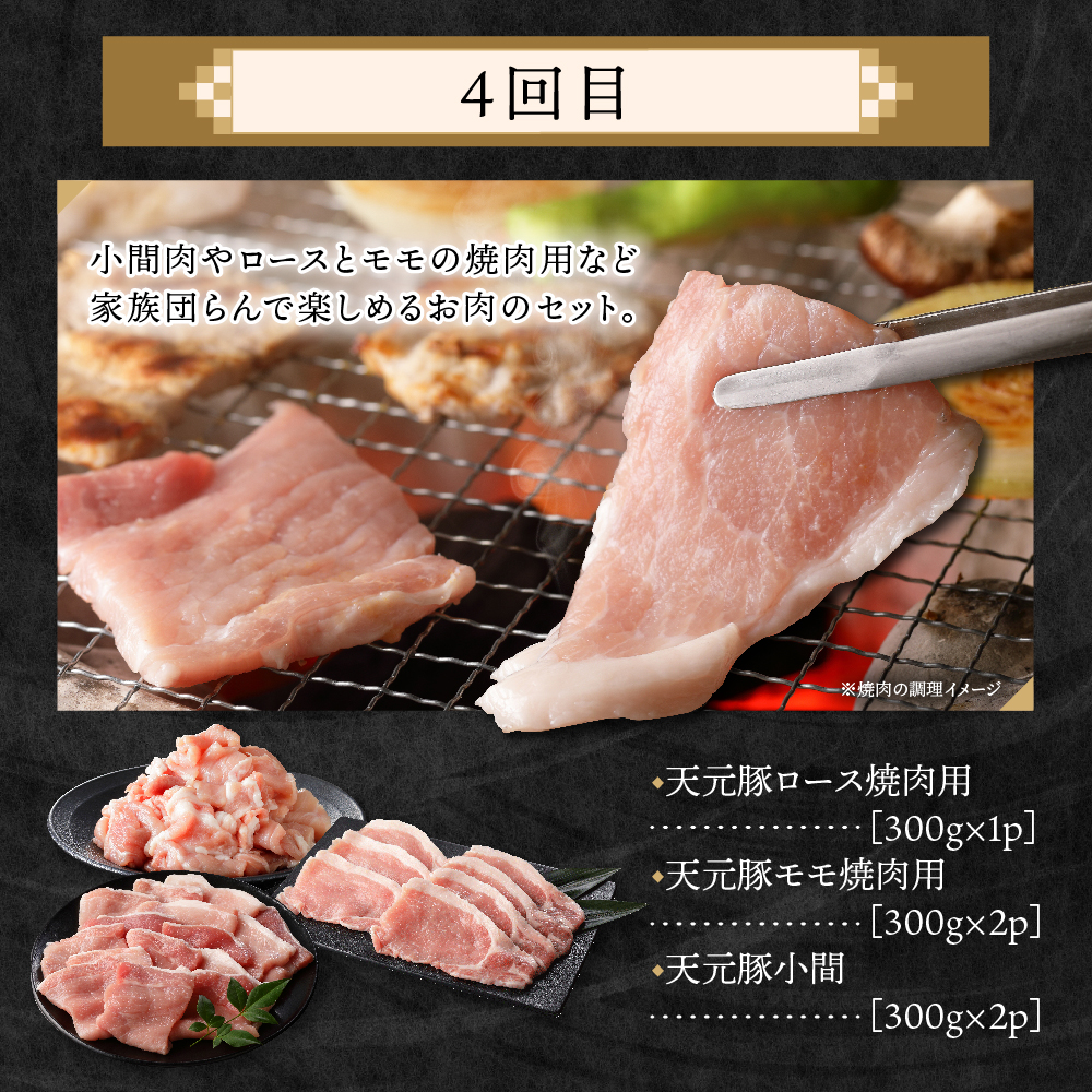 【4ヶ月定期便】 豚肉 天元豚 食べ比べ 全4回 ロース バラ 小間 モモ 挽き肉 便利 小分け 冷凍 しゃぶしゃぶ 焼肉 とんかつ 生姜焼き ブランド豚 国産 山形県 米沢市