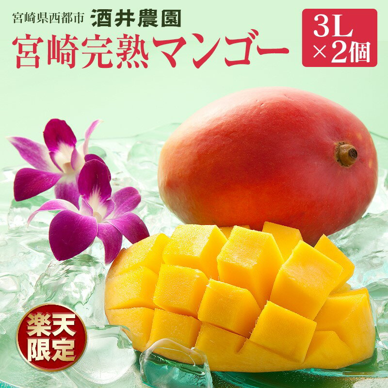 【ふるさと納税】酒井農園 西都産 宮崎完熟マンゴー3L×2個【産地直送】「楽天限定」 さいと サイト 人気 宮崎 先行予約 果物 フルーツ