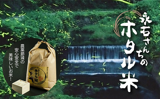 【令和7年産】さがびより 精米10kg（5kg×2袋）ホタル米 永石さんちのお米 _z-60