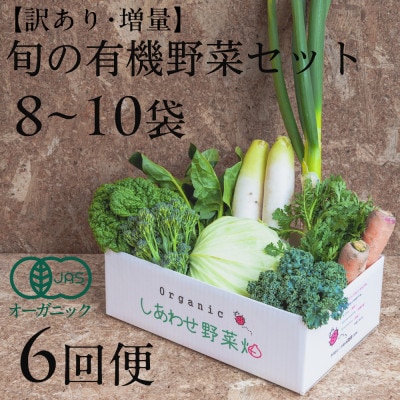 【毎月定期便】しあわせ野菜畑のシェフMセット　(訳あり規格外の有機野菜を一部使用)全6回【配送不可地域：離島・北海道・沖縄県・四国・九州】