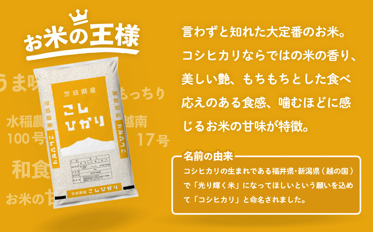 【12月発送】コシヒカリ 5kg 令和7年産 新米 茨城県産 白米 精米 茨城県 お米 米 [SF326yai] 【12月発送】コシヒカリ 5kg(5kg×1袋)