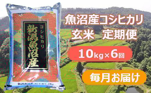 
            【先行予約】【令和7年産 新米玄米】【6か月定期便(毎月全6回)】魚沼産コシヒカリ・棚田米 玄米10kg×6回(毎月お届け)※2025年9月下旬以降より順次発送予定 佐藤農場 【0018-0028DB00-01】
          