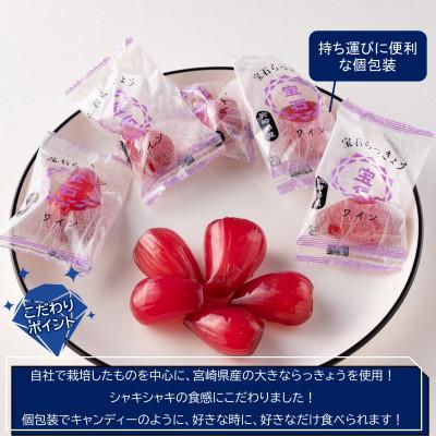 ふるさと納税 三股町 <宮崎県産>宝石らっきょう　ワイン(70g×4袋・計280g)【MI152】 |  | 01