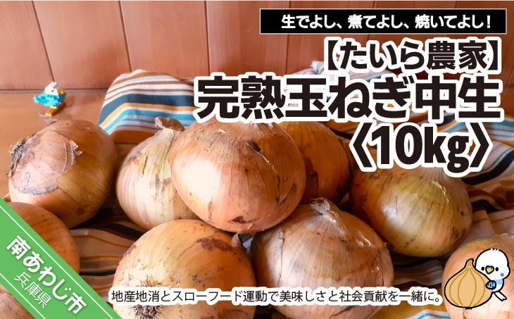 
            完熟玉ねぎ　中生10ｋｇ◆配送6月上旬～
          