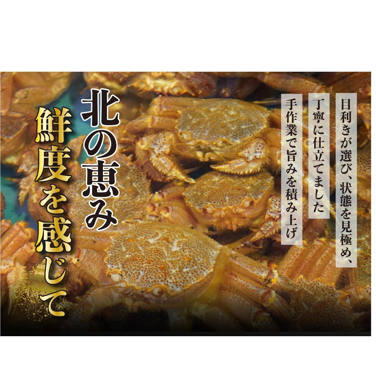 毛ガニ 甲羅盛り 3盛 （ 1盛 あたり 210g 前後 ） 国産 冷凍 木箱入り 毛蟹 毛がに かに カニ 蟹 北海道 新ひだか町_イメージ4