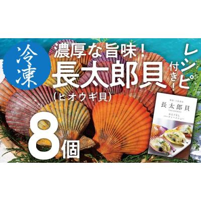 ふるさと納税 土佐清水市 冷凍 ヒオウギ貝 8個セット ホタテの仲間  真空パック BBQ 海鮮【R00802】