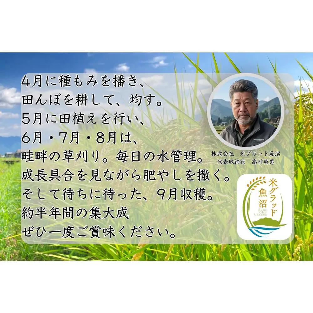 【令和8年産 新米】新潟県南魚沼産（塩沢地区）はちみつ米コシヒカリ 2kg※蜂蜜発酵液肥料栽培
