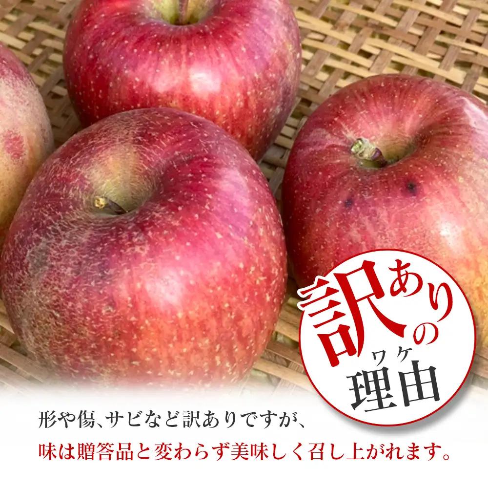 ≪10月中旬以降発送≫りんご 訳あり ご家庭用 約5kg 岡ちゃん農園の芸北りんご 農家直送 夢つがる 秋映 とき すわっこ シナノスイート 陽光 ぐんま名月 シナノゴールド ふじ_OK066_003