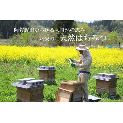 ふるさと納税 阿賀野市  HACHIBEI 阿賀野市産 天然はちみつ2本セット |  | 01