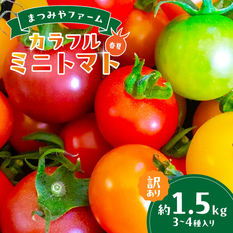 【ふるさと納税】【先行予約】訳あり 宝石のような輝き！カラフルミニトマト 約1.5kg（春夏）（2025年5月下旬～発送） 訳アリ 訳有り わけあり ワケアリ とまと トマト ミニトマト みにとまと 甘い サラダ 色とりどり 生産者応援 農家応援 送料無料