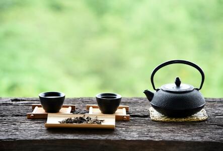 【定期便6回】八女茶　【上】煎茶セット　100g×2袋
