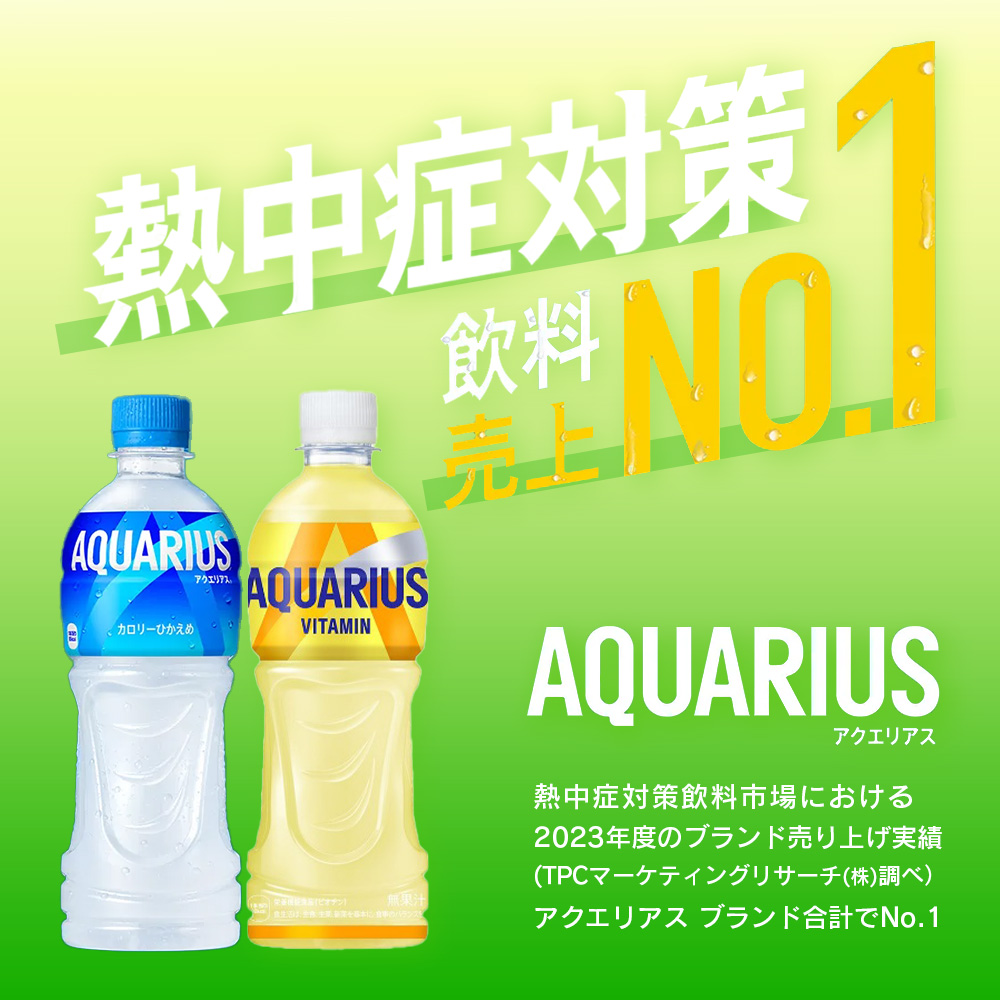 【5か月連続お届け】アクエリアス ビタミン　500ml PET×24本　【04301-0686】_イメージ4