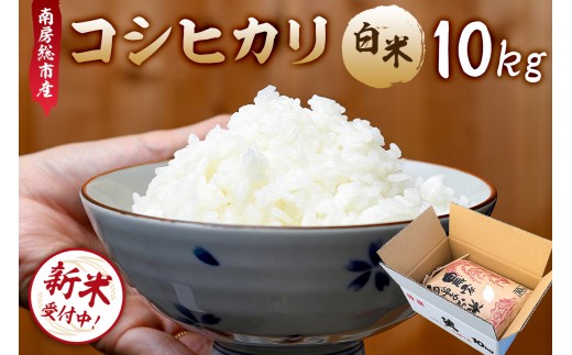 【新米】【令和8年産】南房総市産コシヒカリ白米10kg mi0018-0016 【お米 精米 ごはん こしひかり おにぎり ブランド米 国産米】