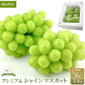 プレミアム シャインマスカット 晴王 2房 約1.4kg ｜ シャインマスカット
