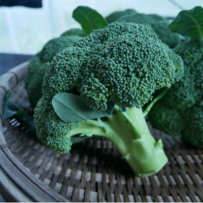 ふるさと納税 鞍手町 朝採れ　農家直送ブロッコリー　20個(約7kg) |  | 01
