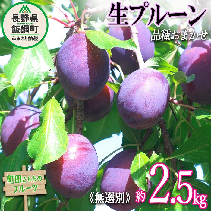 【ふるさと納税】 プルーン 家庭用 約 2.5kg （2kg箱詰め） 無選別 沖縄県への配送不可 町田さんちのフルーツ 長野県 飯綱町 〔 プルーン 果物 フルーツ 生 信州 長野 13000円 〕発送期間：2025年8月上旬〜2025年9月上旬