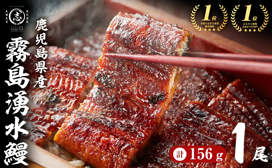 【お礼の品人気No1】霧島湧水鰻の蒲焼き 1尾 ＜156g以上×1尾＞ p58-001