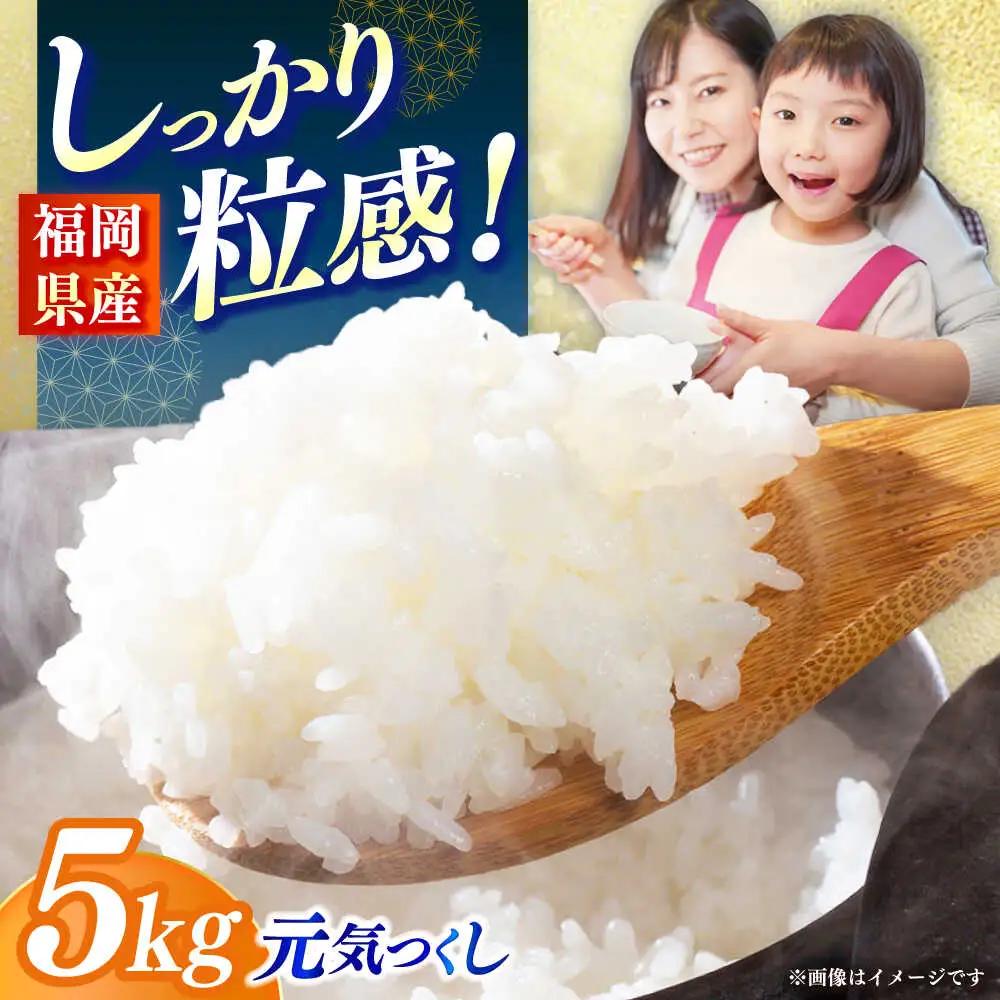 【令和7年産】果物屋さんが選んだ米 元気つくし 5kg 米 白米 お米 ブランド米[ABET010]