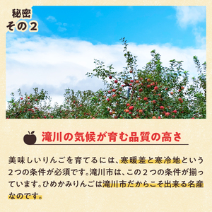 【令和6年出荷受付】ひめかみりんご　約4kg