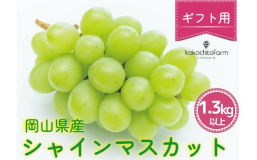 koko-01　ここちとふぁーむ　【ギフト】　岡山県産　シャインマスカット　2房　1.3kg以上