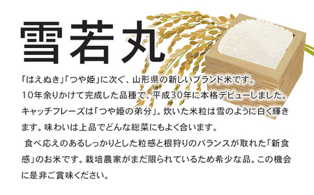 【令和6年産先行予約】 特別栽培米雪若丸 10kg (5kg×2袋) 山形県鶴岡産　鶴岡協同ファーム