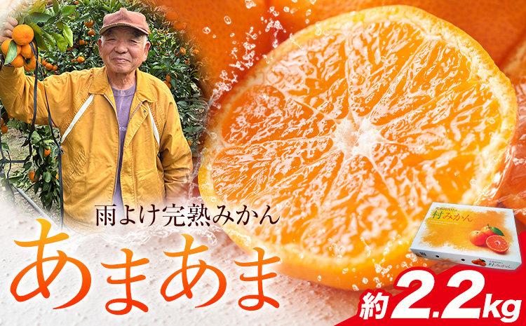 雨よけ完熟みかん「あまあま」 約2.2kg 正木久之《12月下旬-1月中旬》徳島県 佐那河内村 みかん ミカン 蜜柑 柑橘 箱入り 化粧箱 フルーツ 果物 くだもの 贈答【配送不可地域あり】※離島不可