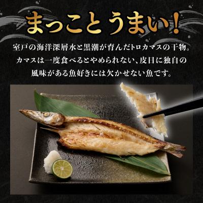 ふるさと納税 室戸市 トロカマス干物8枚定期便【全3回】 |  | 01