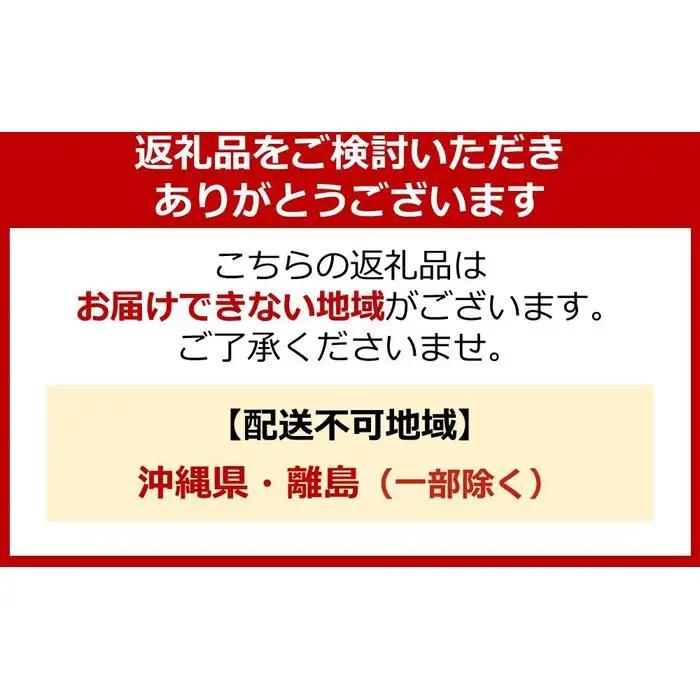 ライオン 洗濯洗剤 NANOX one ニオイ専用 詰め替え 12袋 洗剤