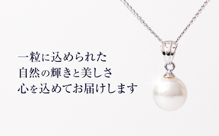 真珠 ナチュラル パール 8.0ｍｍ ネックレス40cm（SV）有限会社 苓北真珠《90日以内に出荷予定(土日祝を除く)》アクセサリー 雑貨 熊本県 苓北町