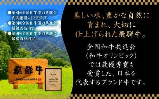 【5月発送】飛騨牛 焼肉 6種食べ比べ セット 600g(100g×6） 希少部位 A5 5等級 盛り合わせ 黒毛和牛 和牛 個包装 飛騨高山 ながせ食品 FH017VC05