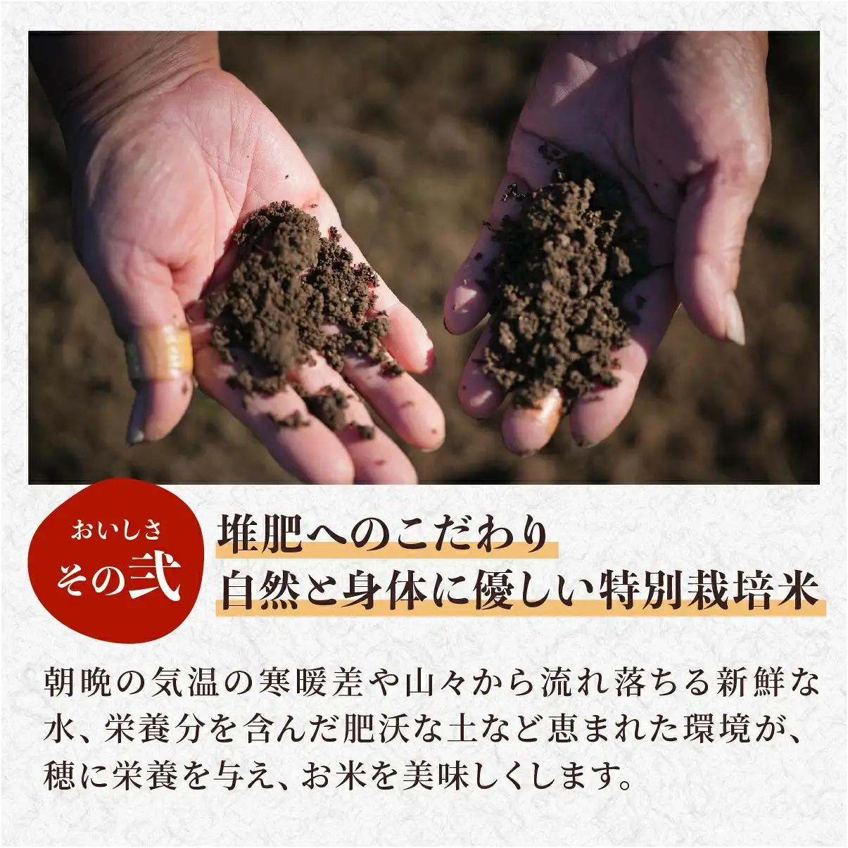 玄米 定期便 新米 丹波篠山産 特別栽培米コシヒカリ 10kg×3回 定期便 玄米