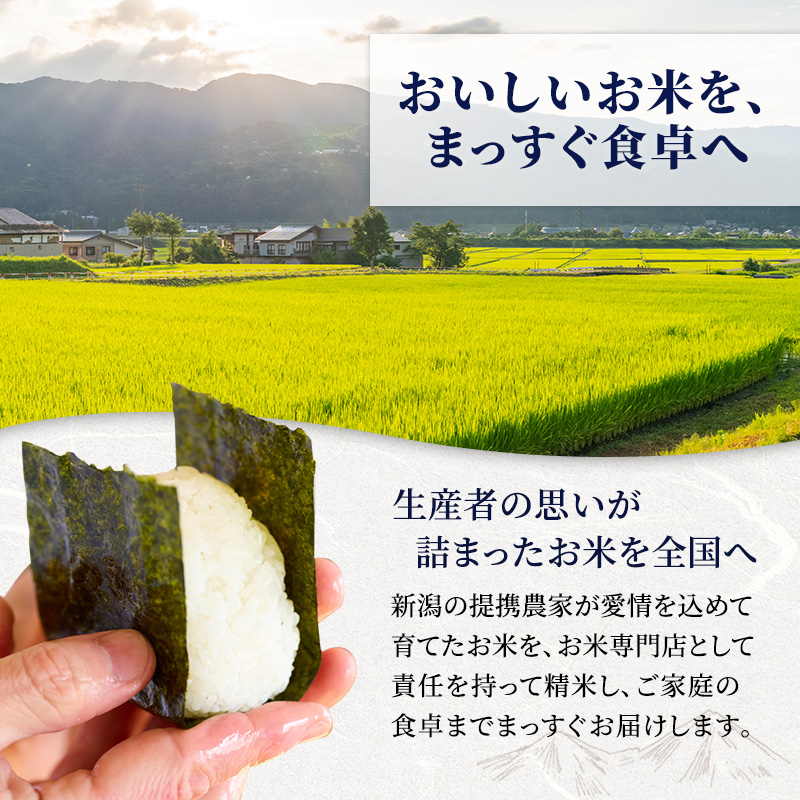 【先行予約】【定期便 6ヶ月】令和8年産 新米 新潟県産 コシヒカリ 5kg×6回 (計30kg) 米 お米 こしひかり 精米 白米 新潟市