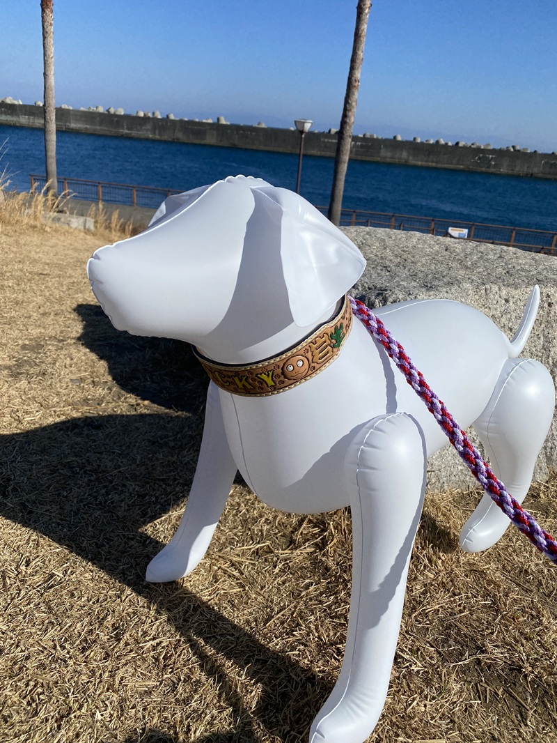 a70-016　ワイド幅首輪 中型犬 ハンドメイド