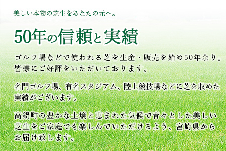 ＜姫高麗芝 2平方メートル＞※2か月以内に順次出荷【c591_hg_x2】