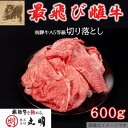 【ふるさと納税】【最飛び雌牛】飛騨牛A5等級切り落とし　600g【配送不可地域：離島】【1520140】