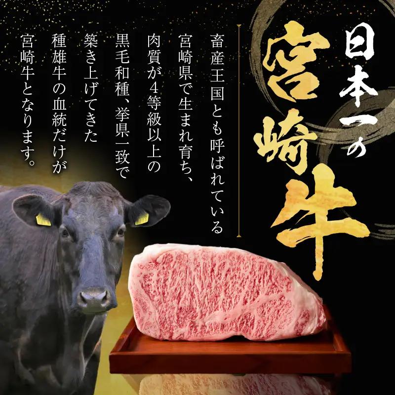 宮崎牛ヒレステーキ(計360g) 肉 牛 牛肉 焼肉 国産_T030-1048