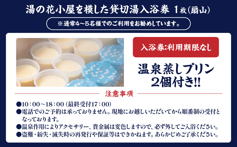 【効能たくさん！白濁の硫黄泉】湯の花小屋を模した貸切湯入浴券（扇山）